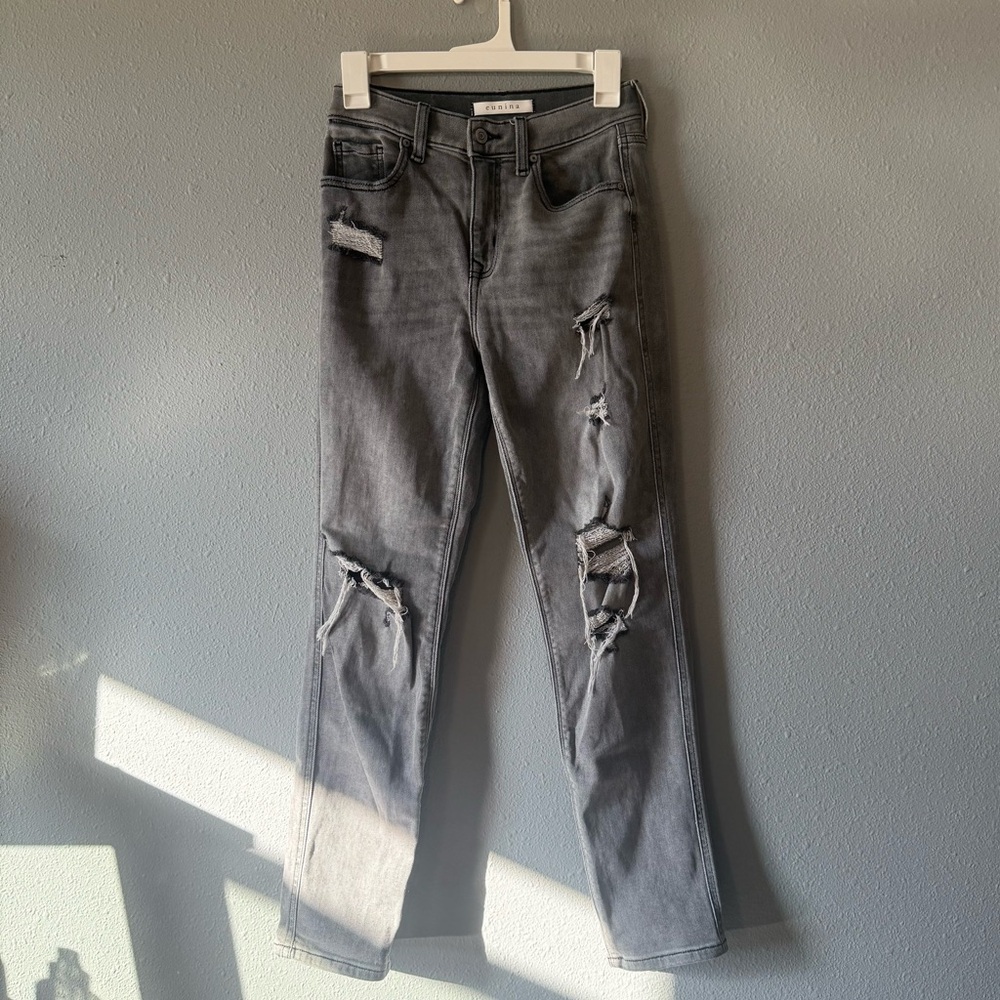 Eunina Ripped Gray Skinny Jeans